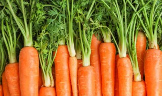 胡萝卜的作用与功效 有关胡萝卜的好处