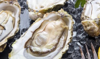 生蚝的营养价值及功效能不能生吃 生蚝有什么营养能不能生吃