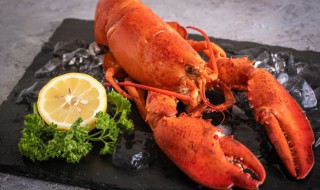 怎么做大龙虾好吃又简单 大龙虾的烹饪方法