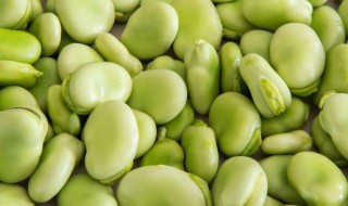 罗汉豆怎么做好吃 罗汉豆如何做好吃