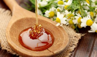 蜂王浆和蜂王胎的区别 蜂王浆和蜂王胎的差异