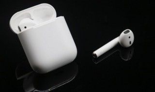 rl哪个是左哪个是右 rl如何区分左右