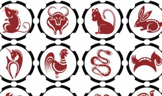 一十二生肖怎么排顺序 有关十二生肖的顺序