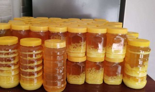 枣花蜜和洋槐蜜哪个好 槐花蜜和枣花蜜哪个好，有什么区别？