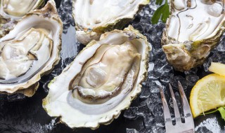 怎么挑选生蚝 挑选生蚝的方法