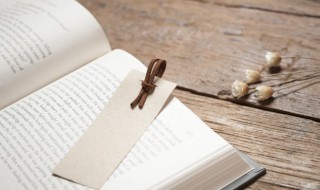 内拼音怎么写 内的含义