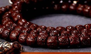 菩提子的作用 菩提子的好处