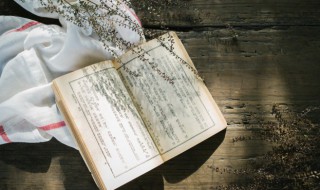 白拼音怎么写 白字读音及解释