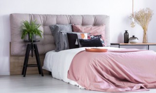 吊兰可以放在卧室吗 吊兰可以放在卧室