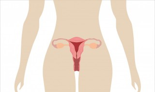 祛湿补肾的食物 祛湿补肾的食物有哪些