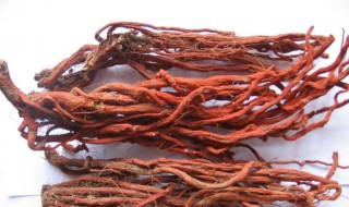 丹参的功效和作用 丹参有如下功效作用