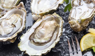生蚝吃哪个部位 生蚝的简介