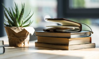 西游记1回概括 西游记1回概括内容