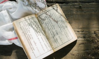 童年第六章概括 童年第六章概括内容