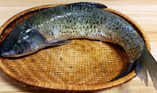 剑骨鱼怎么做好吃 剑骨鱼如何做好吃