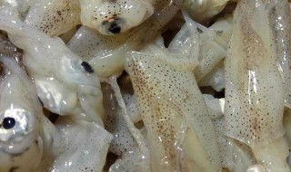 海猫怎么做好吃 海猫如何做好吃