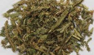 蜀羊泉的功效与作用 蜀羊泉的功效与作用有哪些