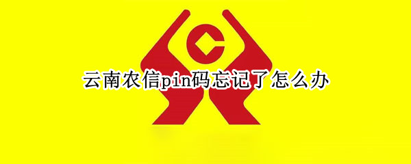 云南农信pin码忘记了怎么办 云南信用社初始pin码