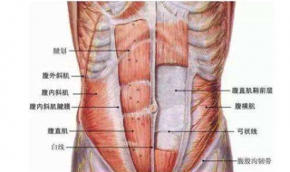 腹直肌分离怎么练 3个方法有效锻炼