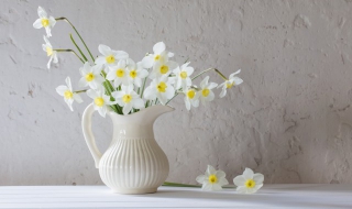 鲜花保鲜怎么做 教你5个简单技巧