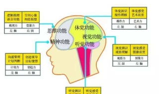 记忆方法有哪些 六个方法