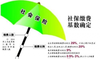 年度社会保险基数 申报操作流程及所需材料