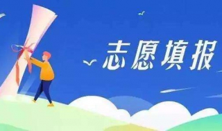 志愿填报技巧 高考报志愿怎么进行