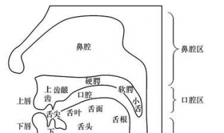 发音方法 英语字母发音方法