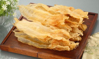 鱼胶是什么东西 关于鱼胶的简介