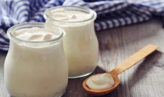 制作酸奶用什么菌种 制作酸奶用的菌种简述