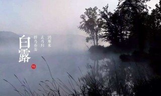 白露的农事活动有哪些 白露的农事活动举例