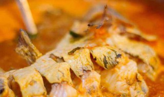 酸汤黄辣丁 做酸汤黄辣丁的步骤