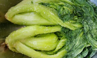 酸菜的腌制方法窍门 酸菜的腌制步骤