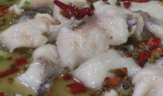 酸菜鱼黑鱼的做法 做酸菜鱼黑鱼的方法