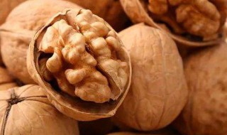 干核桃如何保存过夏 核桃过夏的方法