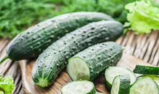 黄瓜酸奶减肥方法 黄瓜酸奶减肥方法是什么
