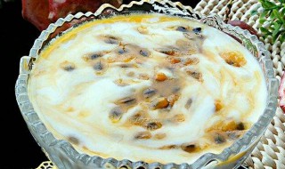 自制老酸奶怎么做 怎样自制老酸奶