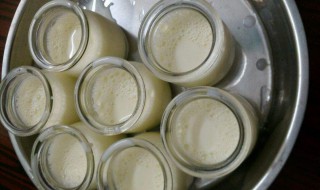 怎样用酸奶制作酸奶 喝酸奶有什么好处