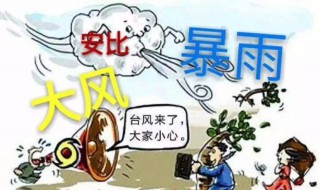 台风来了要怎么防范 大家赶紧去看看吧