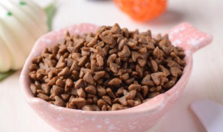 猫粮招蚂蚁怎么解决 猫粮招蚂蚁怎么办