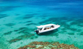 船怎么折 折船方法