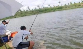 最简便的钓鱼方法 钓鱼高手都这么干