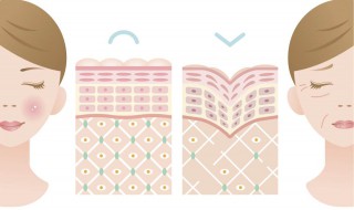 怎样能皮肤好 怎样才能让皮肤变好