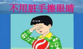 眼睛的保护方法 保护眼睛吃什么好？