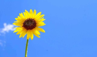 qq签名简短有深意七字学生 简短七字个性签名