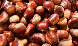 剥板栗壳的方法 如何剥板栗壳