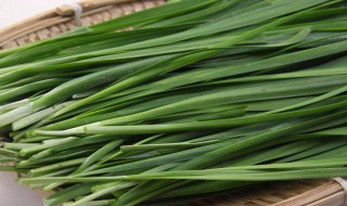 韭菜的烧烤方法 韭菜的烧烤方法简述