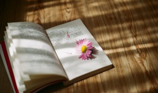 关于美的经典语录 遇见美发现美的句子