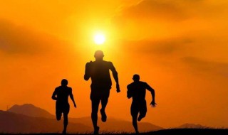 关于坚持的句子美句 关于坚持的句子美句有什么