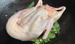 鸭子拔毛的好方法 鸭子拔毛的好方法介绍